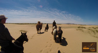 VIS MA VIE ! A cheval des Dunes du Gobi aux Steppes de Mongolie
