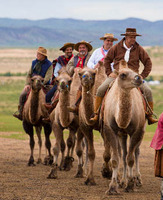 Un nouveau voyage multiactivités en Mongolie